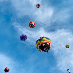 Meet your Posher, Abigail